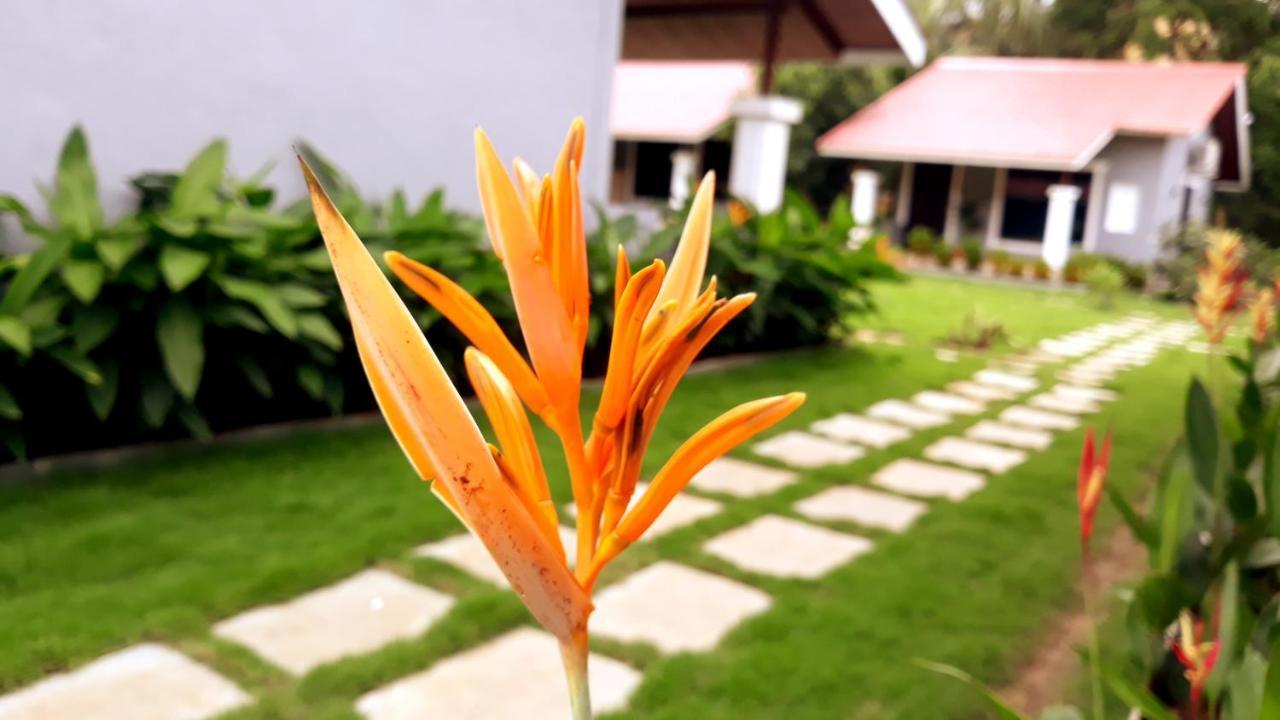 Arcadia Resort Alibaug Alībāg Eksteriør billede